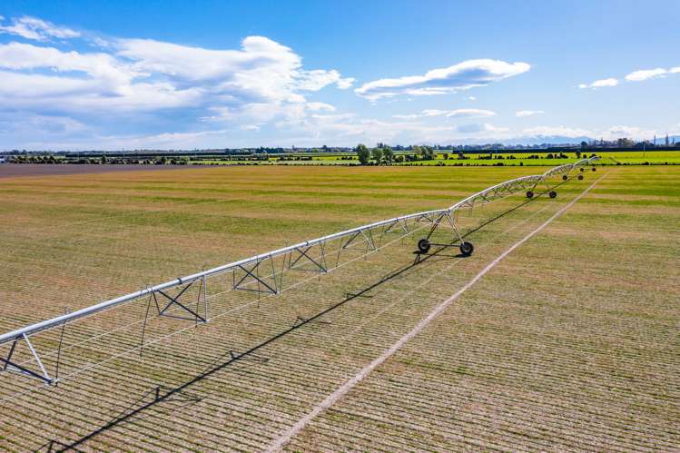 Selwyn Lake Road Leeston_6