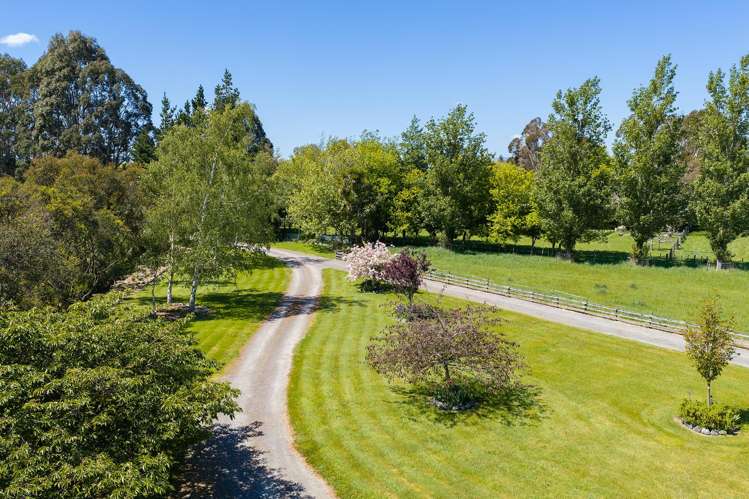 77A Brooklyn Road Carterton_2