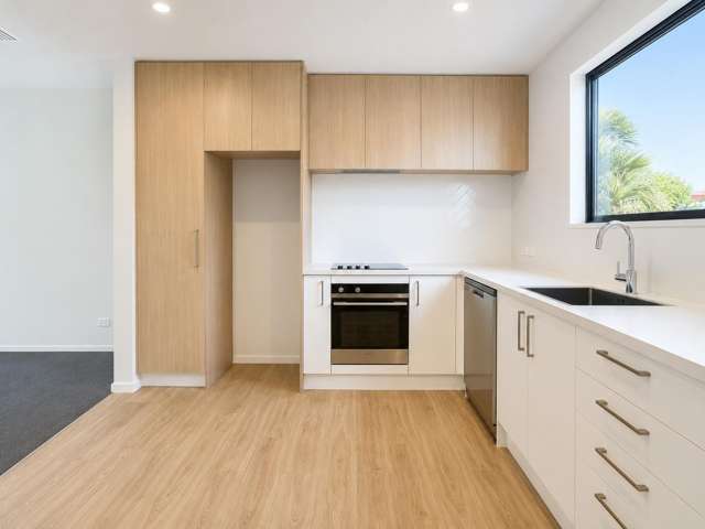 3/265 Lyttelton Street Spreydon_1