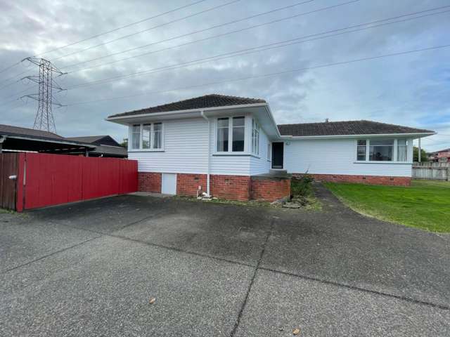 11 Penney Avenue Mount Roskill_1