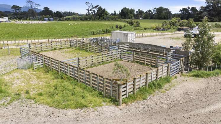 537 Tennent Drive Linton_22