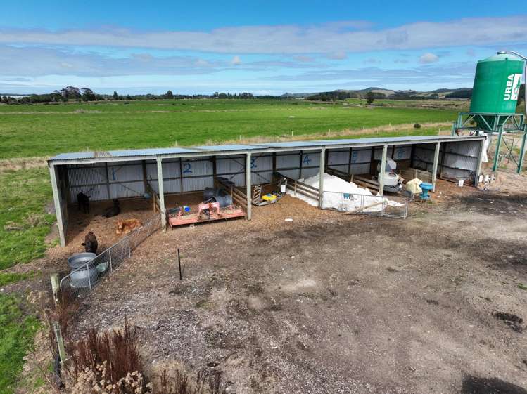 457 Grove Burn Road Tuatapere_20