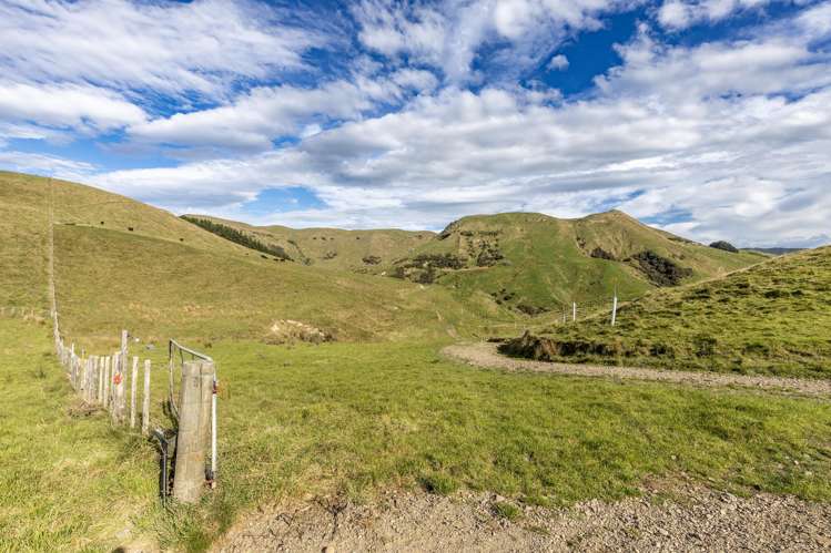 467 Waitahora Valley Road Dannevirke_12