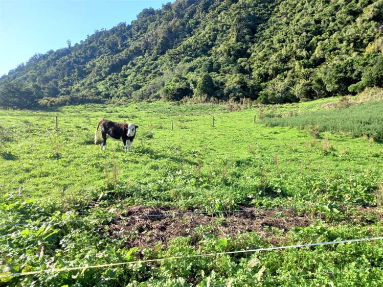 1 Torea Street Granity_13