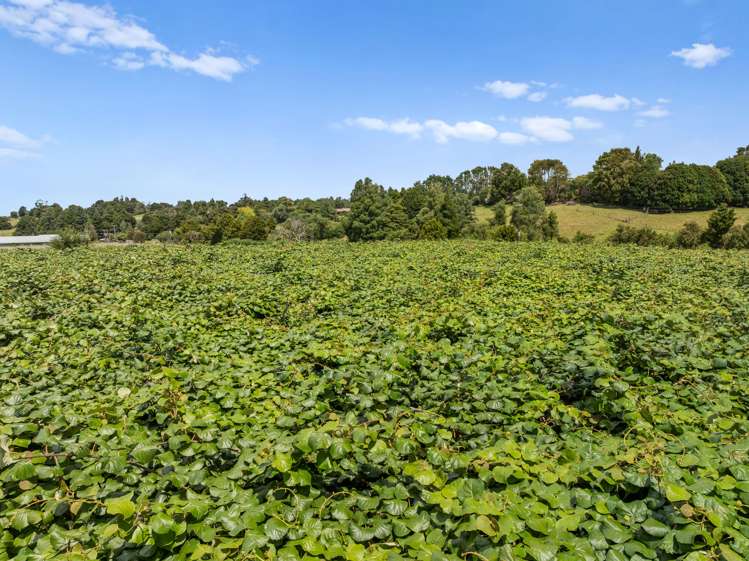 988 Otaika Valley Rd Maungatapere_19