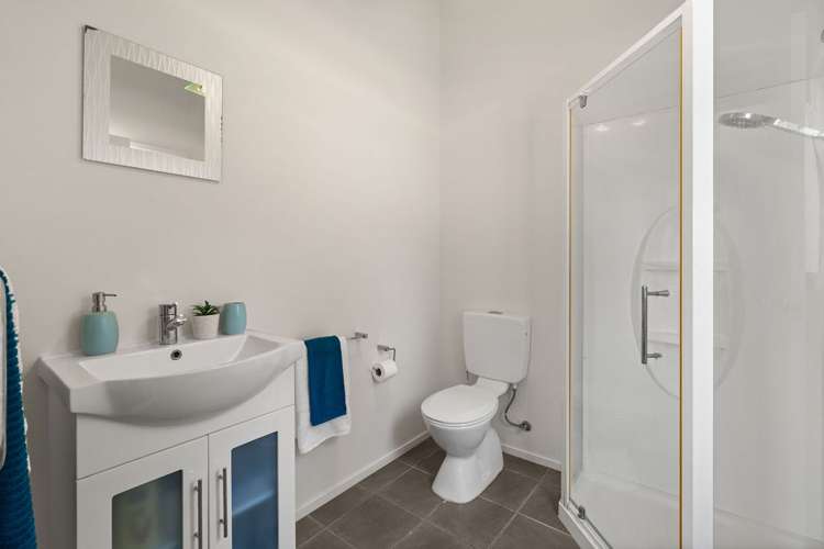 29 Adler Drive Ohauiti_11