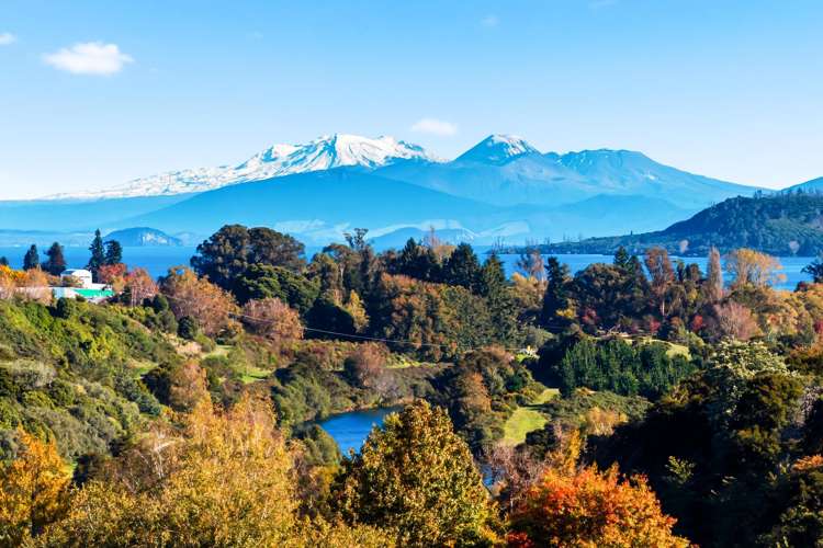 59C Huka Falls Road Rangatira Park_5