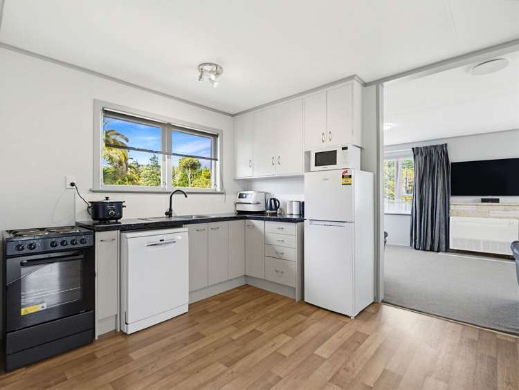 52 Froude Street Whakarewarewa_5