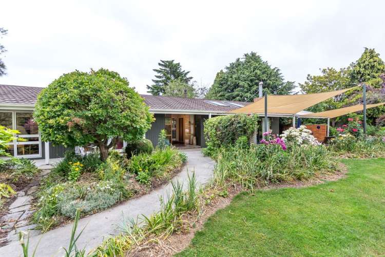 439 Dawsons Road Templeton_6