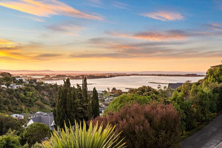 53 Soleares Avenue Mount Pleasant_29