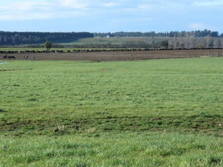 1248 Peel Forest Road Mesopotamia_6