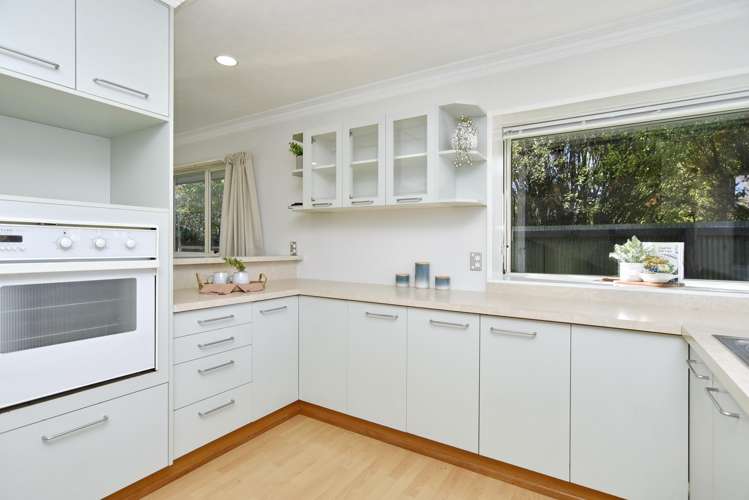 7 Fisher Avenue Sydenham_6