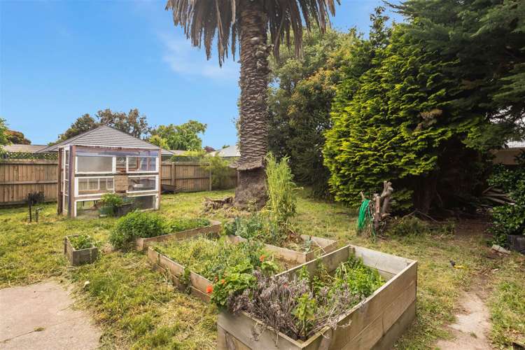 208 Racecourse Road Sockburn_11