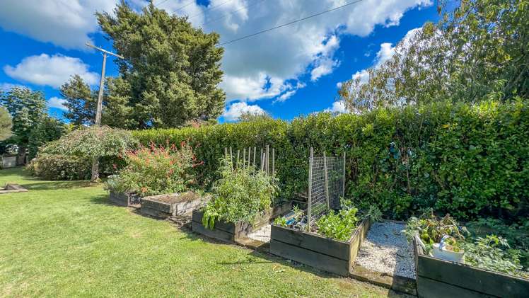 8844E Paeroa Kopu Road Puriri_21