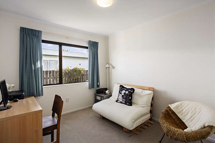 59a Devonshire Road Miramar_6