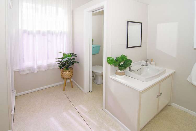 22 Devon Street Aro Valley_12