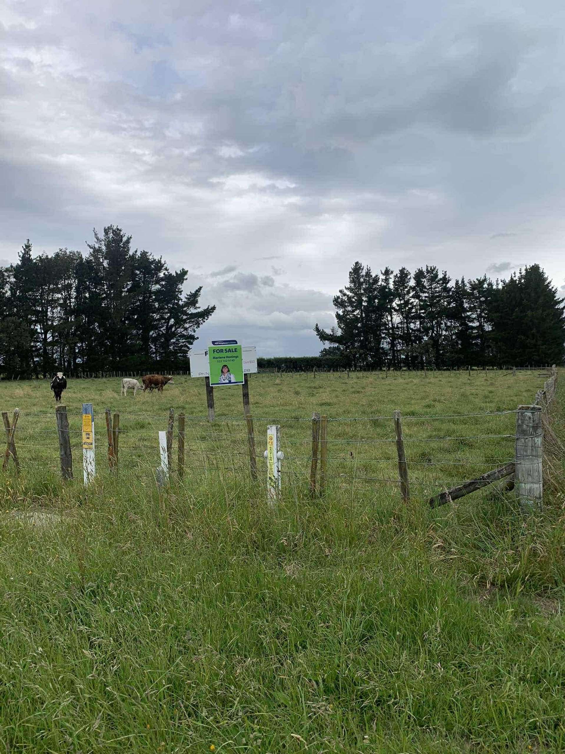 State Highway 50/ Makaroro Road Tikokino_0