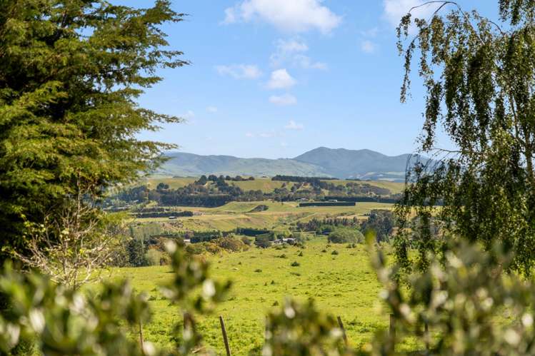 387D Johns Way Martinborough_29