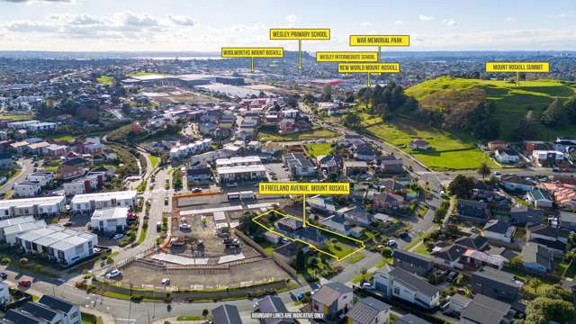 9 Freeland Avenue Mount Roskill_3