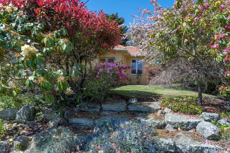 23 Lynmore Avenue Lynmore_24
