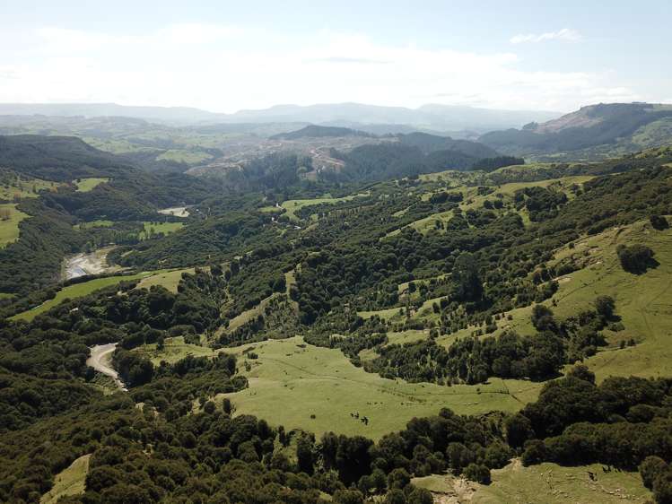 1050 Ellis Wallace Road Eskdale_11