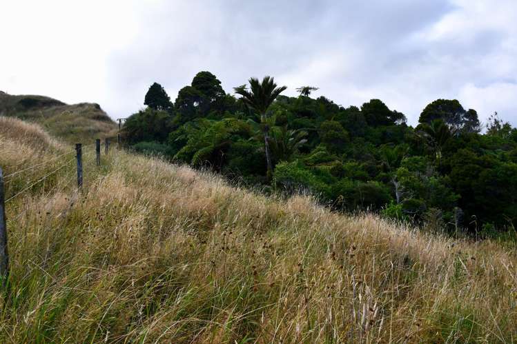 904 Karamea Kohaihai Road Karamea_41