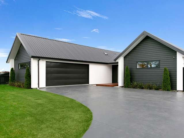 Modern sun filled living