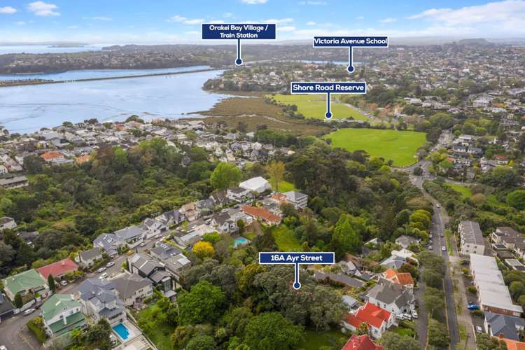 16a Ayr Street Parnell_20