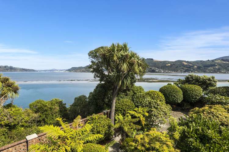 16 Bayne Terrace Macandrew Bay_20