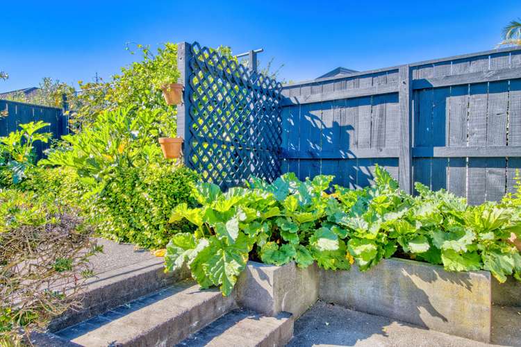 6 Kingsgate Close Havelock North_5