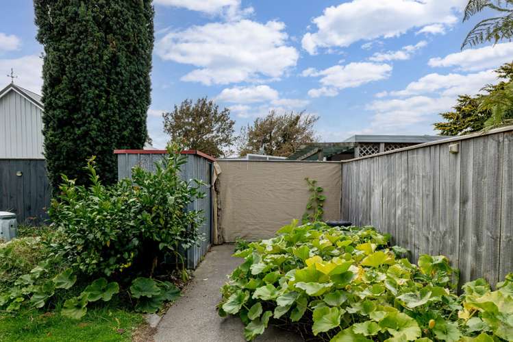 36 Criterion Street Bulls_15