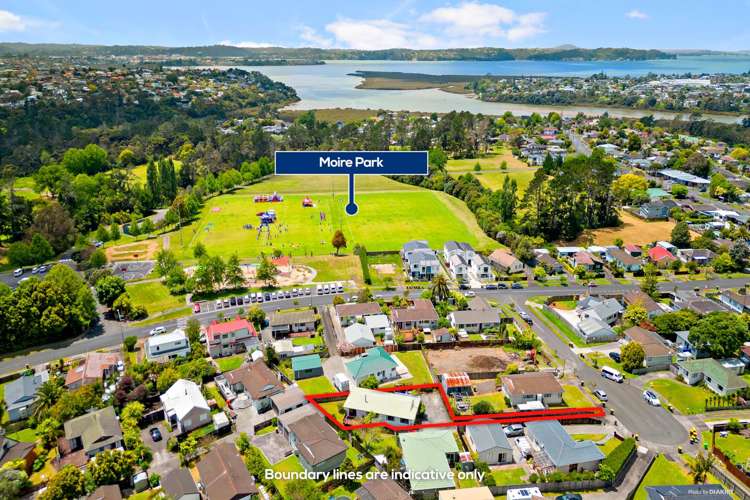 7 Patrice Place Massey_2