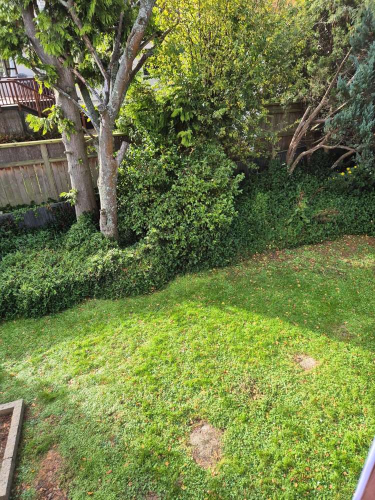 27 Kinvig Street Andersons Bay_15