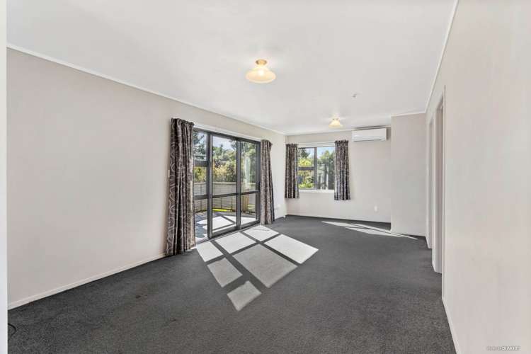 291 Horseshoe Bush Road Dairy Flat_18