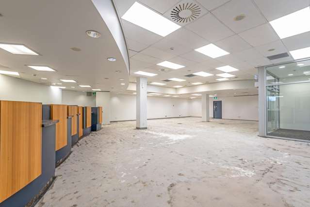 234 Ruahine Street Roslyn_4