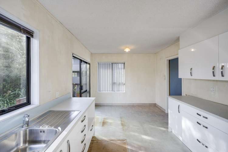 59 Leicester Avenue Tamatea_4