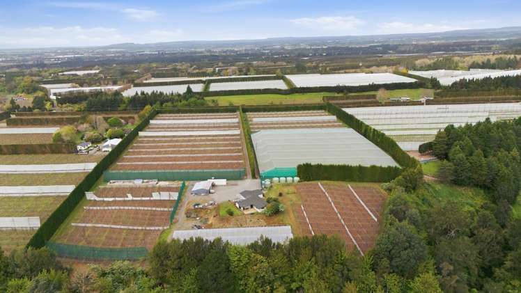 364 Te Matai Road Te Puke_7
