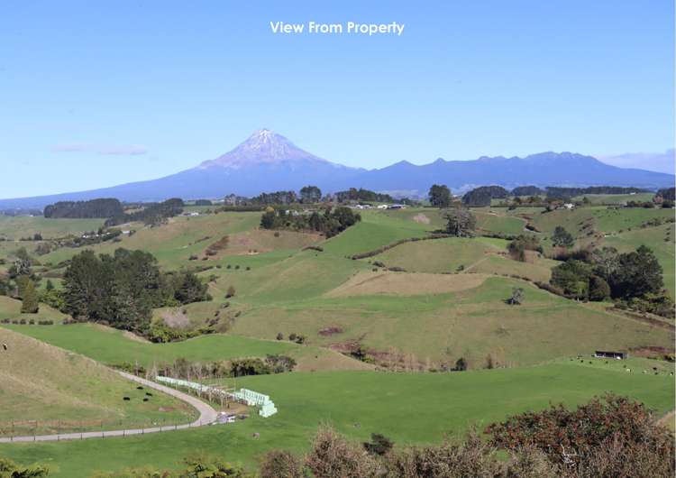 344 Hursthouse Road Inglewood_26