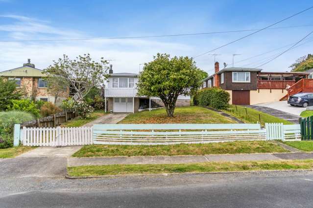 45 Sheridan Drive New Lynn_4