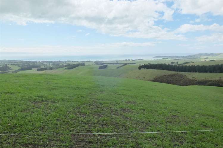 Duncan Road Hampden_3