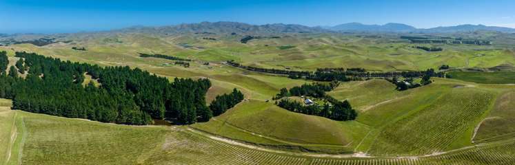 363 Caseys Road Blind River_23