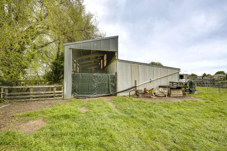 510 Wall Road Raureka_24