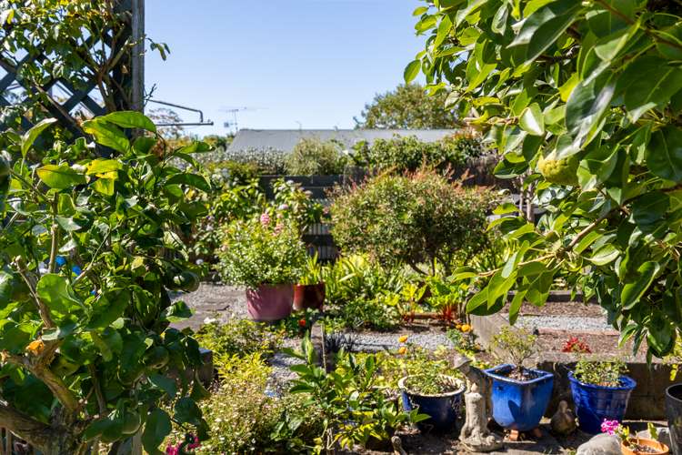 52 Andrew Street Waikanae_18