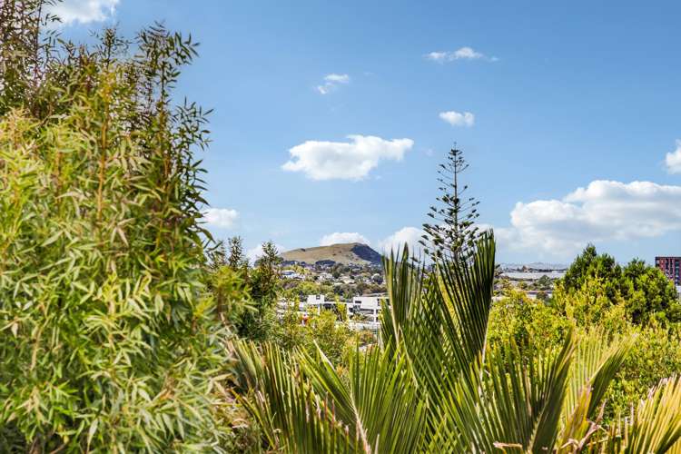 61B Te Kawa Road Greenlane_19