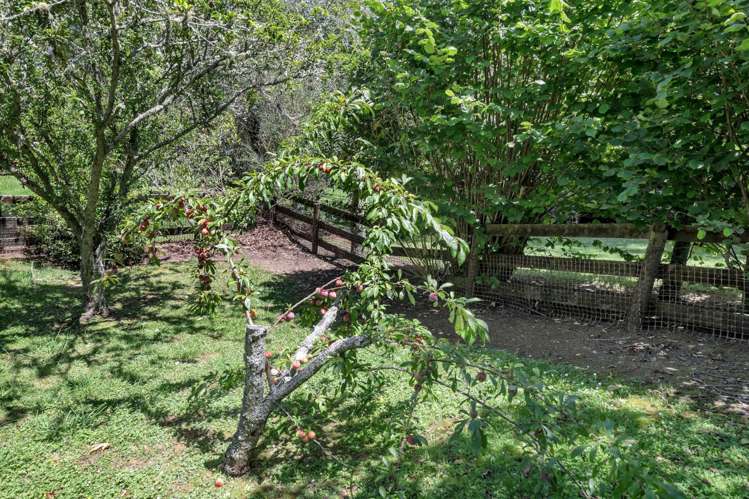 12 Tiffany Close Totara Park_43