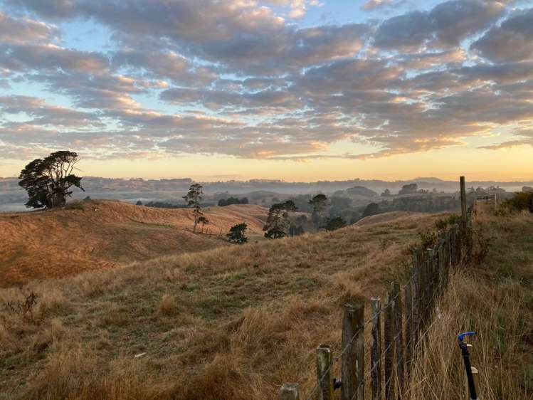 823 Wairamarama Onewhero Road Onewhero_27