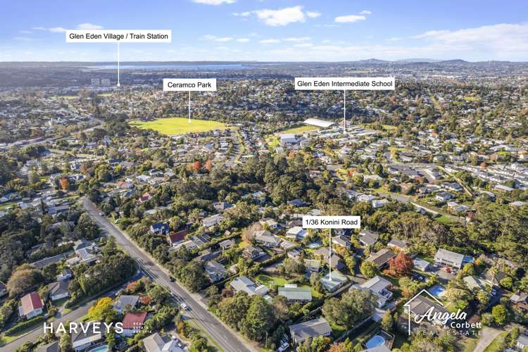 1/36 Konini Road Titirangi_21