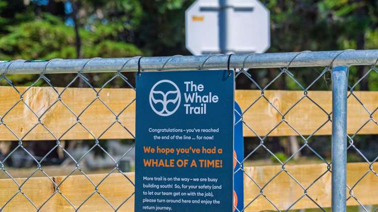 36 Seddon Street Ward_21