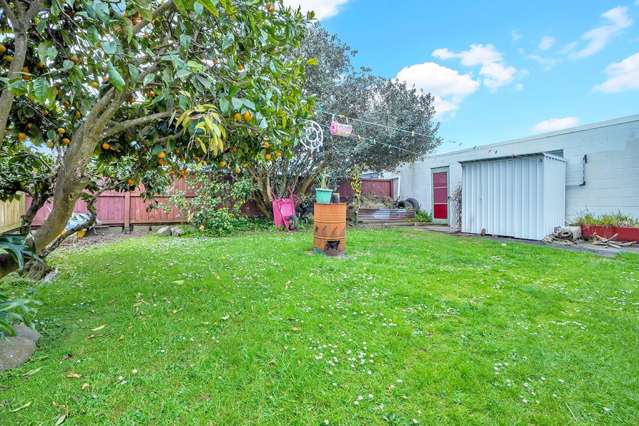 239 Ohaupo Road Glenview_2