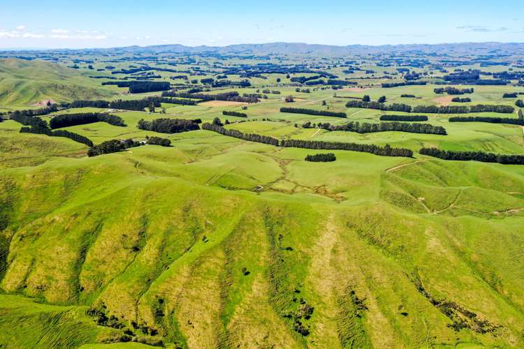 412 Tamaki West Road Dannevirke_20